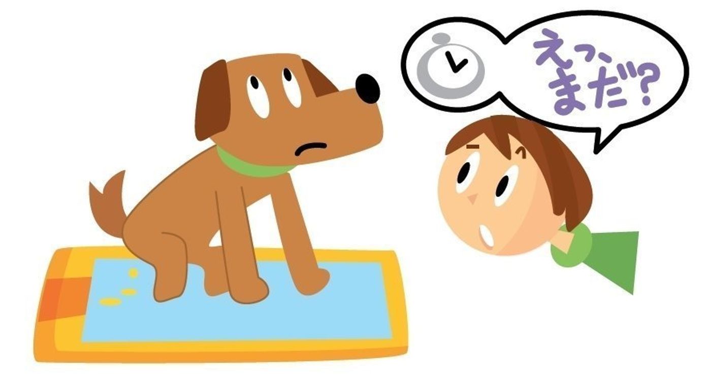 オシッコスタイルでわかるってホント 泌尿器の病気 早期発見のコツ いぬのきもちweb Magazine オシッコスタイルでわかるってホント 泌尿器の病気 早期発見のコツ いぬのきもちweb Magazine