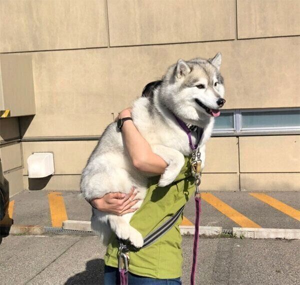 抱っこされるほづみちゃん