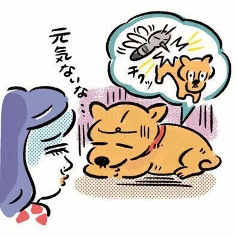 ノミ フィラリア ジアルジア 犬にとって やっかいな寄生虫の話 いぬのきもちweb Magazine