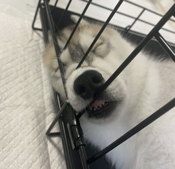 眠るリアンちゃん
