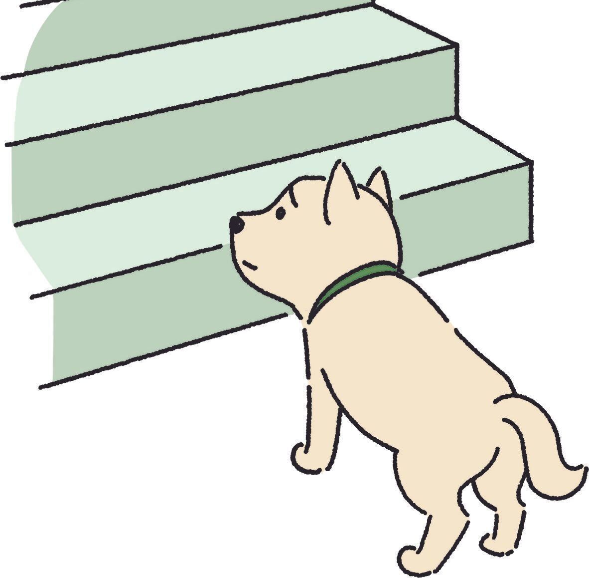 イラスト／HaradaRica