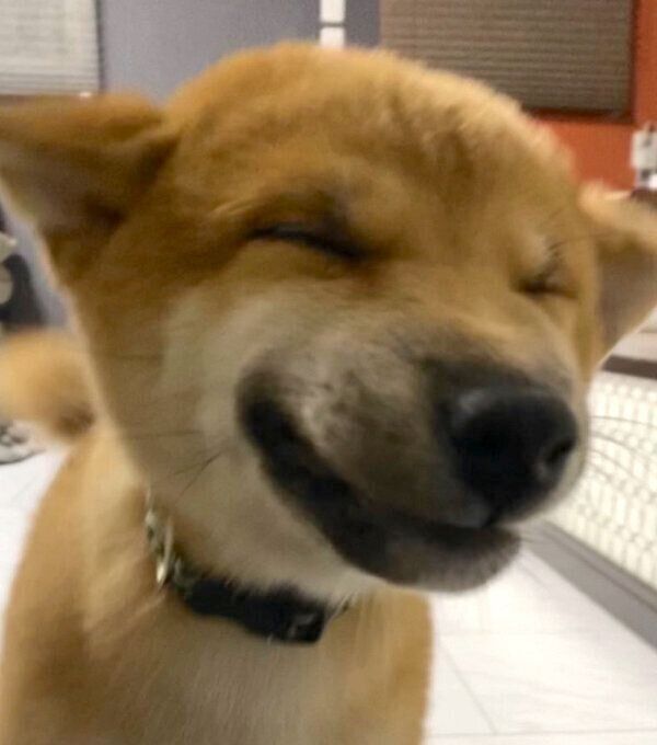 笑顔が可愛い雷吾くん