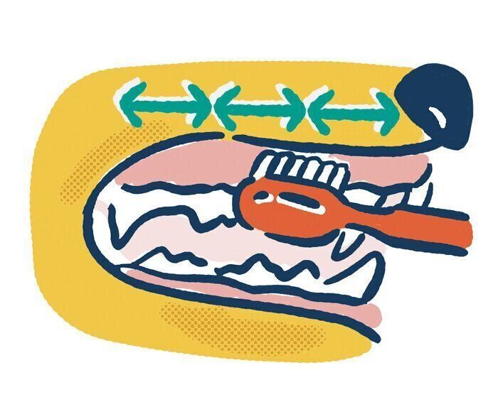 歯磨きの仕方