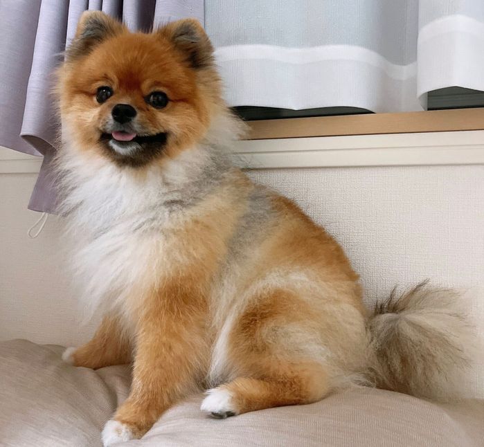 笑顔で見つめるおもちくん