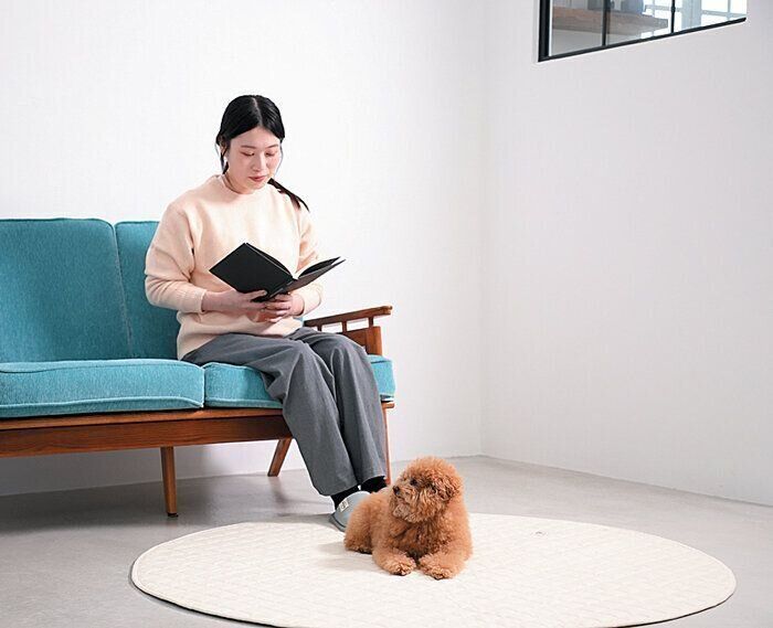 外の音に反応する犬