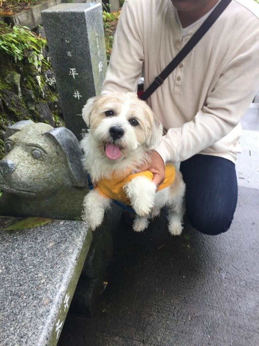 東京都 愛犬と初詣に行ってみない 犬連れokの 武蔵御嶽神社 いぬのきもちweb Magazine 東京都 愛犬と初詣に行ってみない 犬連れokの 武蔵御嶽神社 いぬのきもちweb Magazine