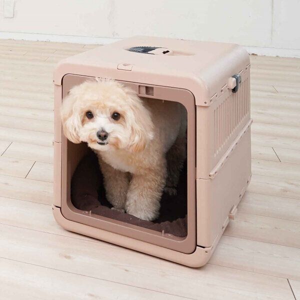 愛犬の生活域に、自由に出入りできるクレートを準備しておきましょう。