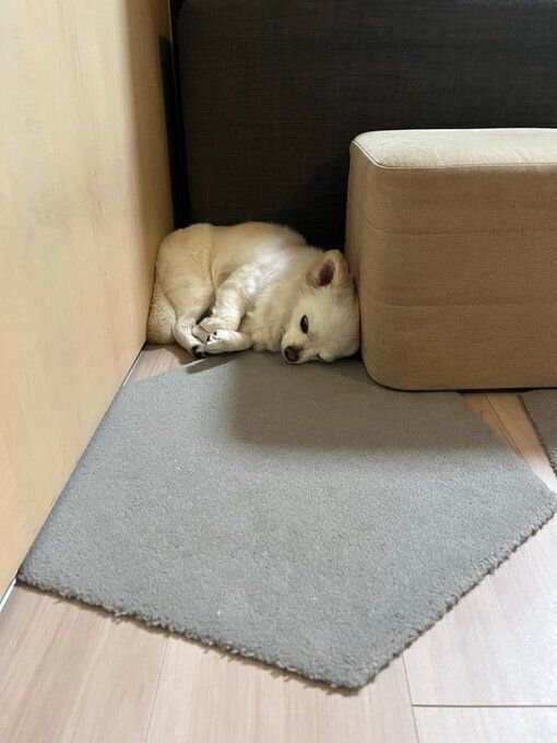 「どこにいるのかな？」　話題になった投稿写真