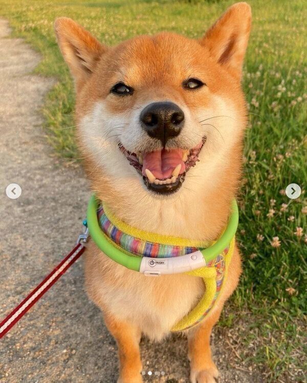 笑顔の豆助くん