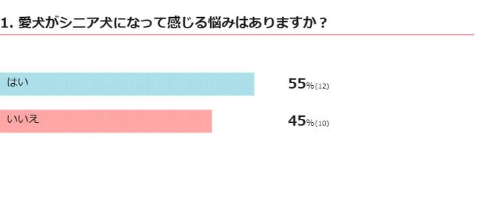 愛犬がシニア犬になってから悩みを感じる?