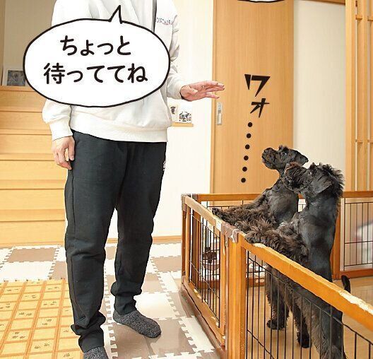 撮影／尾﨑たまき