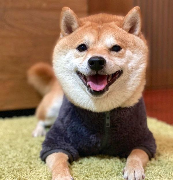 笑顔の豆千代くん