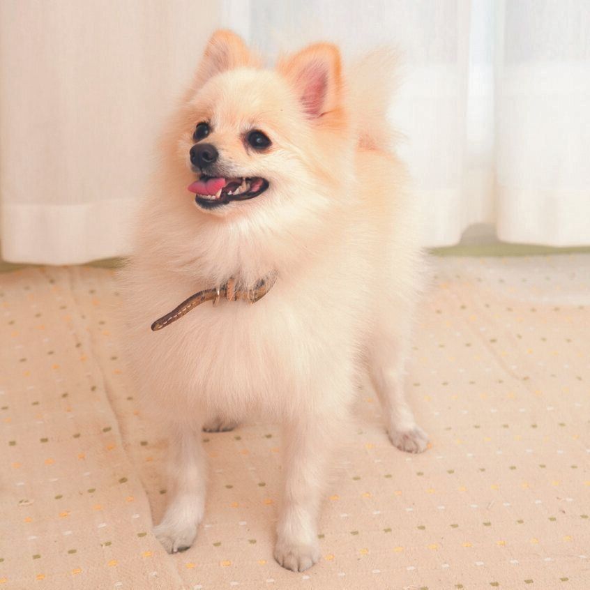 ハァハァと呼吸すること