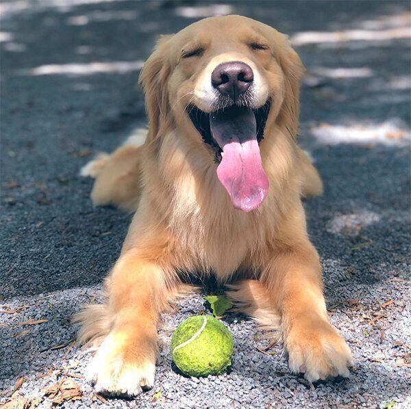 遊んで笑顔になるゆずちゃん