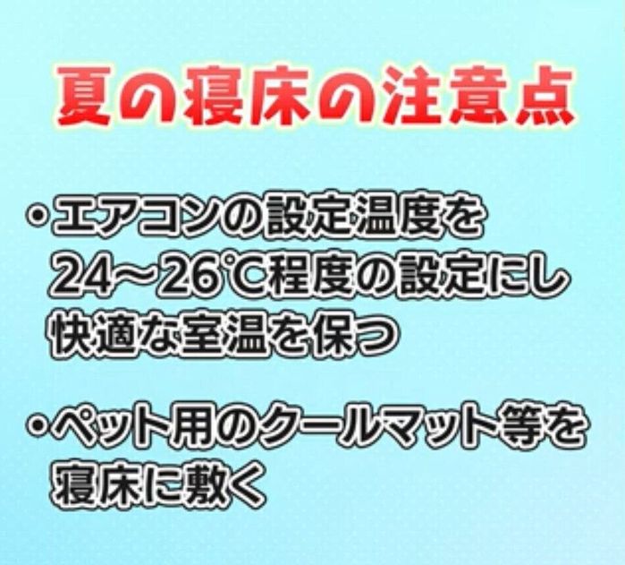 いぬのきもち塾_【犬の睡眠対策05】