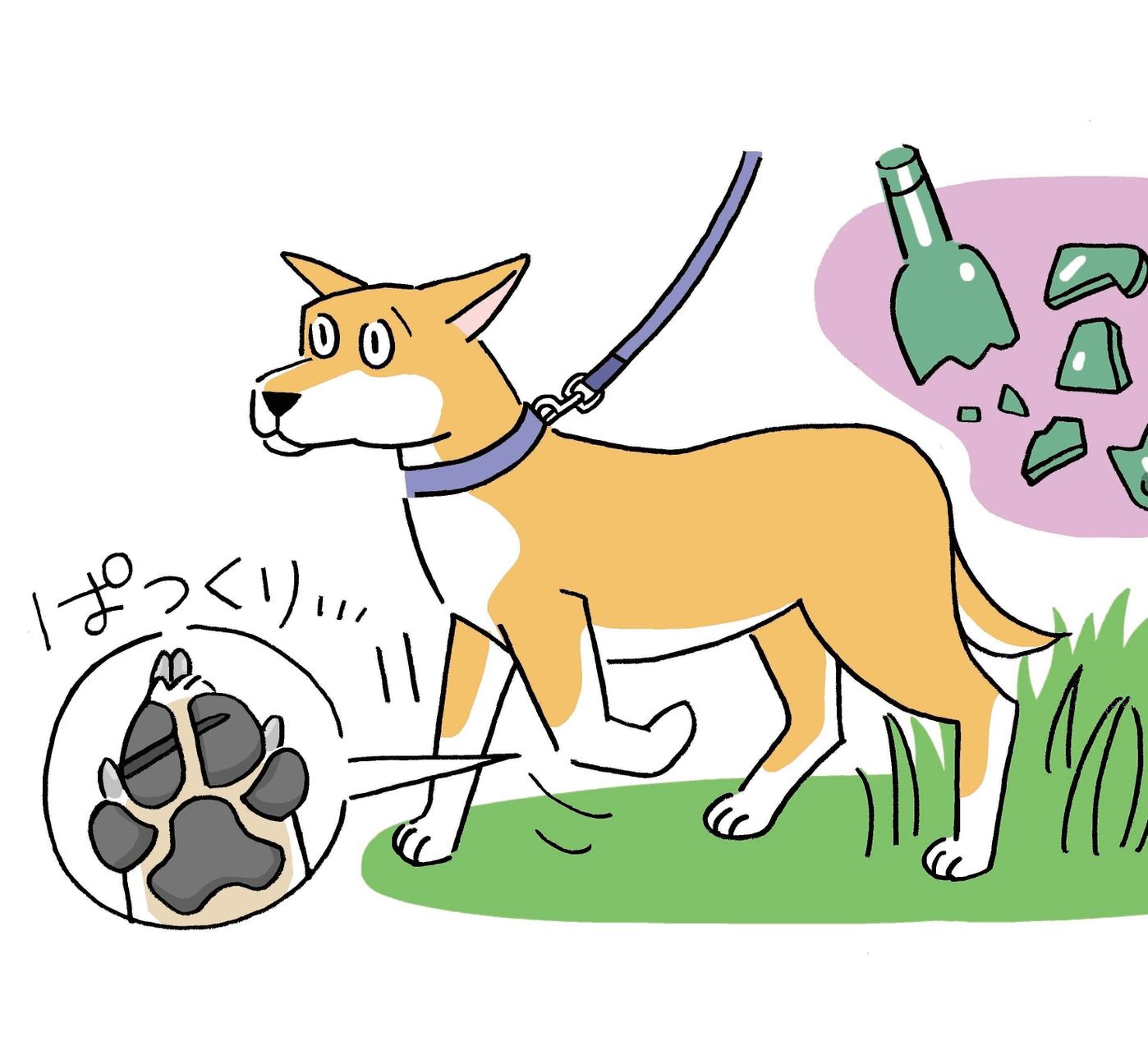 犬が散歩中にガラスの破片を踏んだ 金具にしっぽが引っかかった 犬の切り傷 にどう対応する いぬのきもちweb Magazine 犬が散歩中にガラスの破片を踏んだ 金具にしっぽが引っかかった 犬の切り傷 にどう対応する いぬのきもちweb Magazine