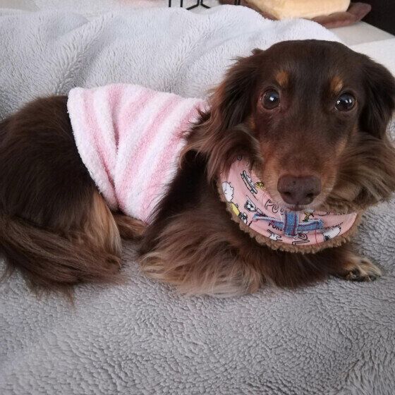 ネックウォーマーと腹巻きで防寒するEINさん