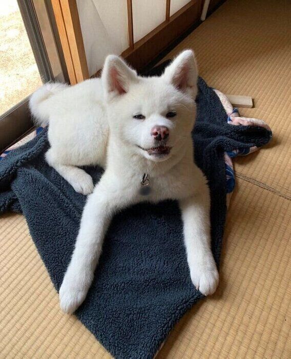 見つめる雪ちゃん