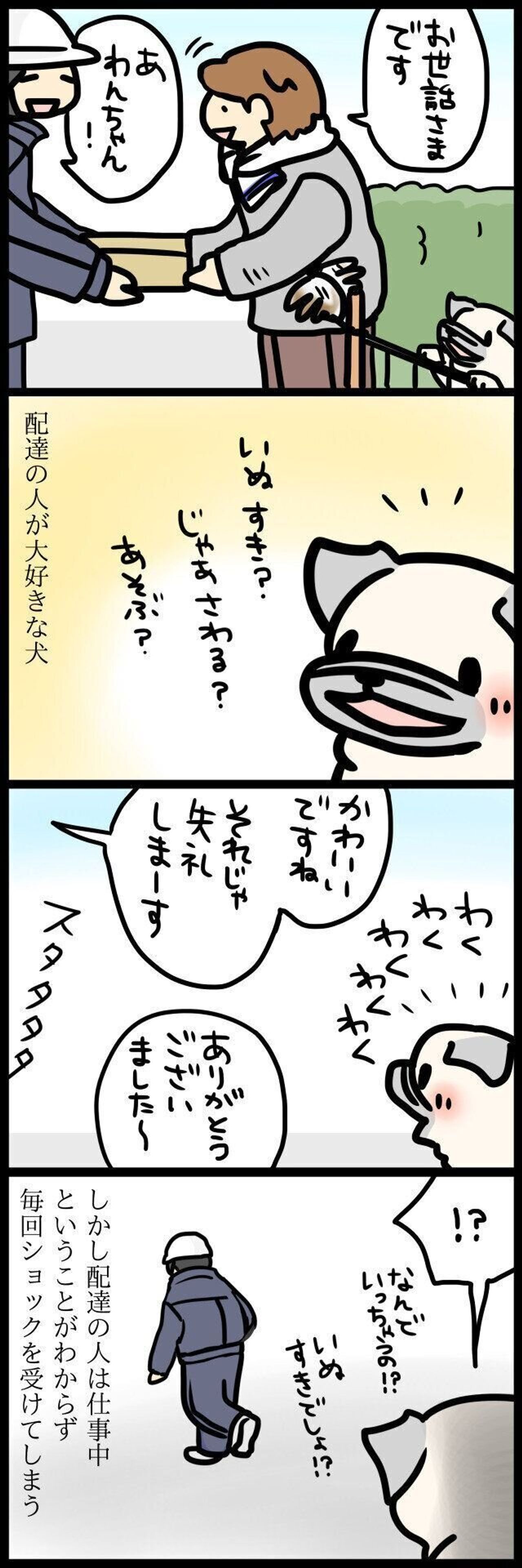 配達の人が大好きなパグ犬めー かまってほしいけれど 連載 パグ犬 めー Vol 79 いぬのきもちweb Magazine 配達の人が大好きなパグ犬めー かまってほしいけれど 連載 パグ犬 めー Vol 79 いぬのきもちweb Magazine