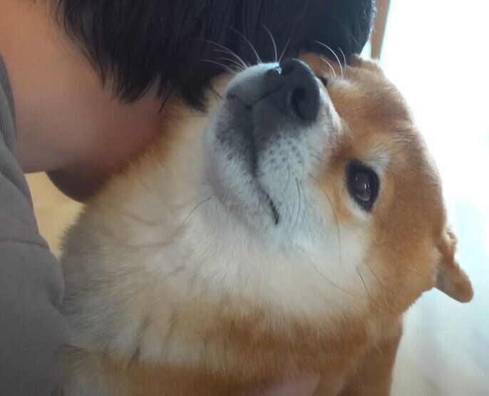 ハチくんへの愛情があふれるパパさん♡
