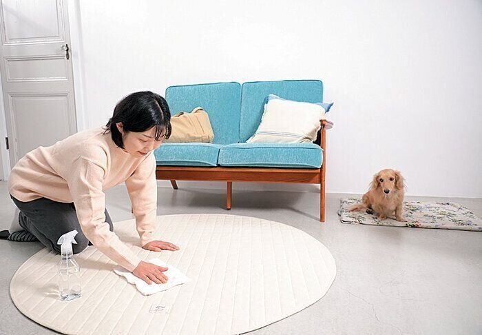 そそうの跡を片づける飼い主