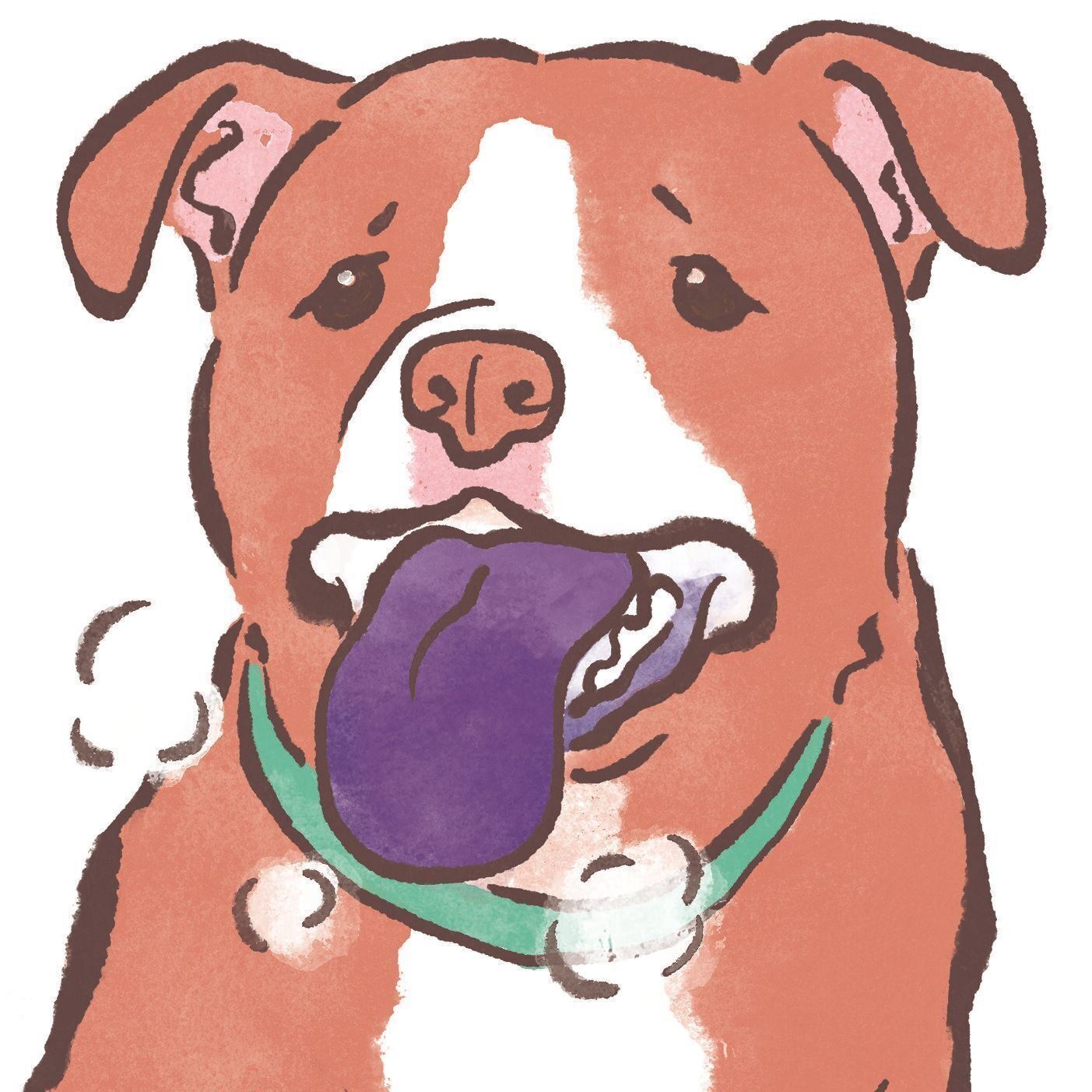 イラスト／太田麻衣子