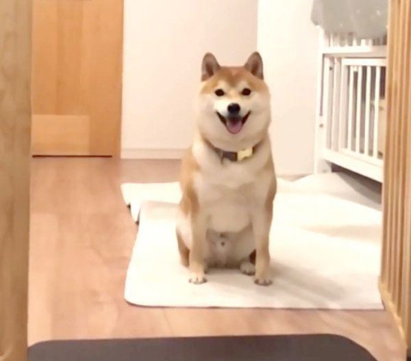 最高の笑顔を見せるこてつくん