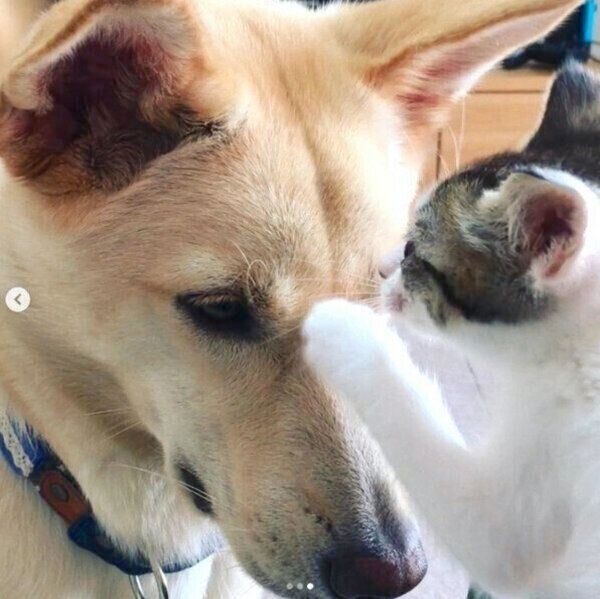 くるりちゃんのことが気になるななちゃん