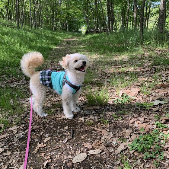 楽しそうなつむぎちゃん