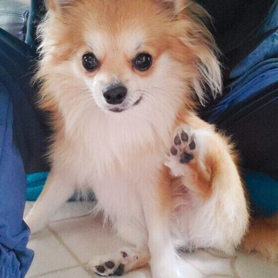 Skuunfclgyos1m Skuunfclgyos1m