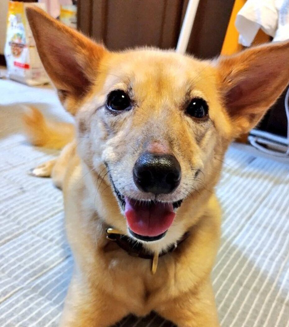 ニコニコ顔のココちゃん