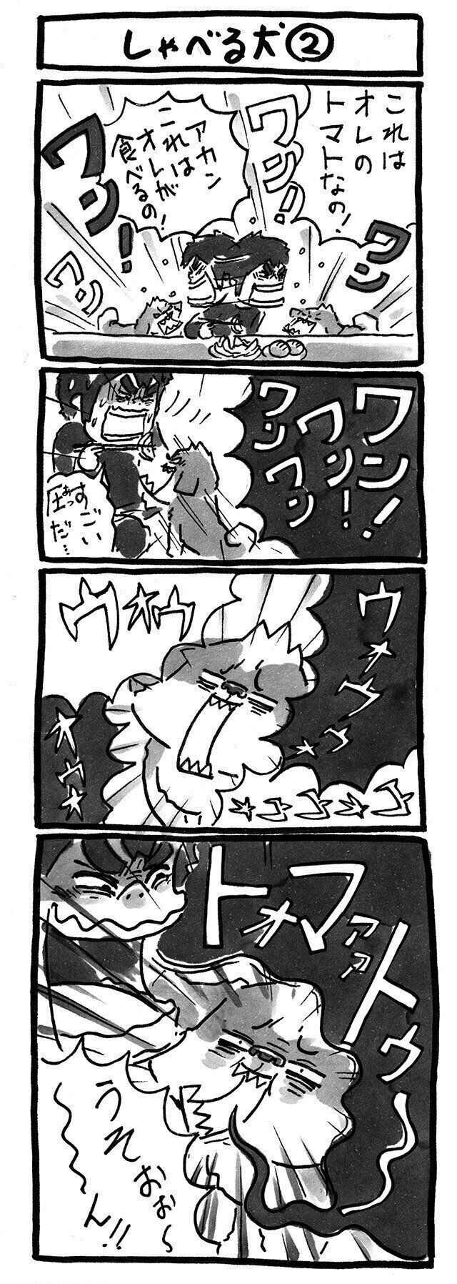 連載「シーズー犬のてんぽ」