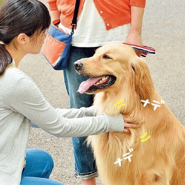 相手に「イイコ」とほめてもらって