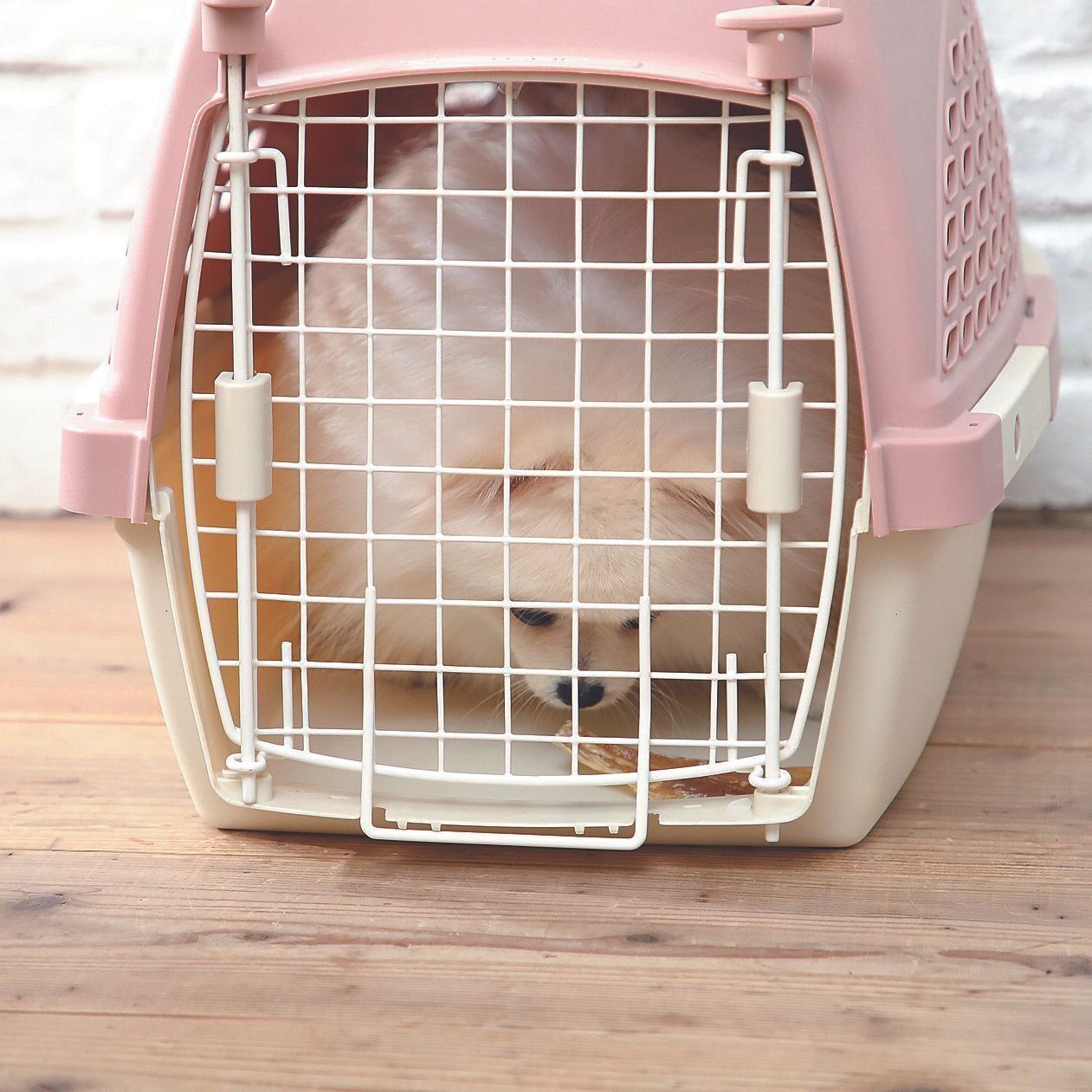 噛むことに長く集中させて冷静に