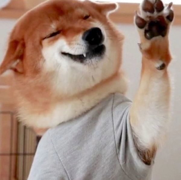 ニコニコ笑う柴犬