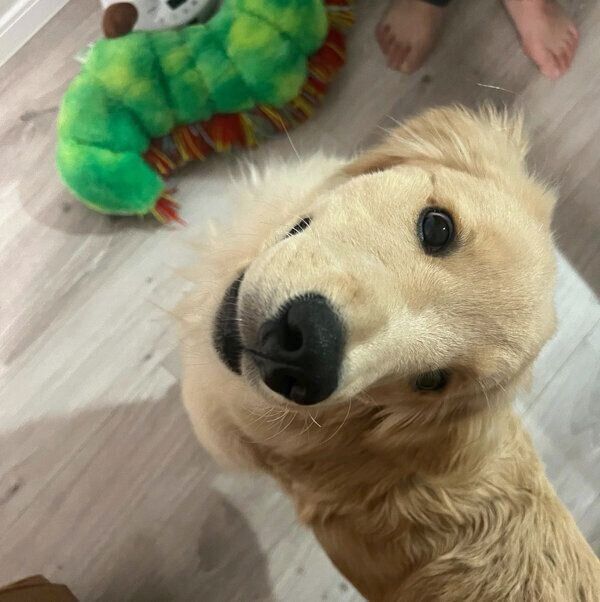 見つめるそらくん