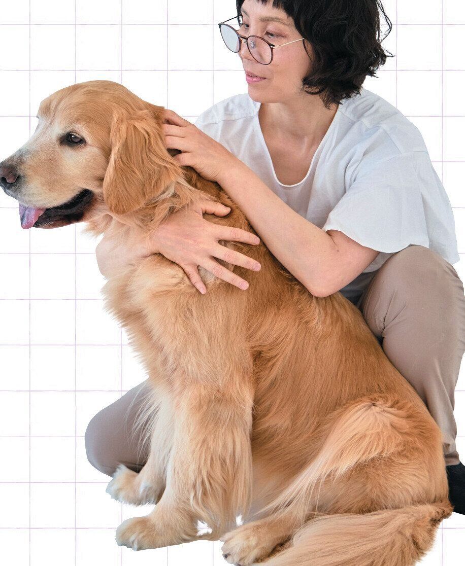 顔を保定される大型犬