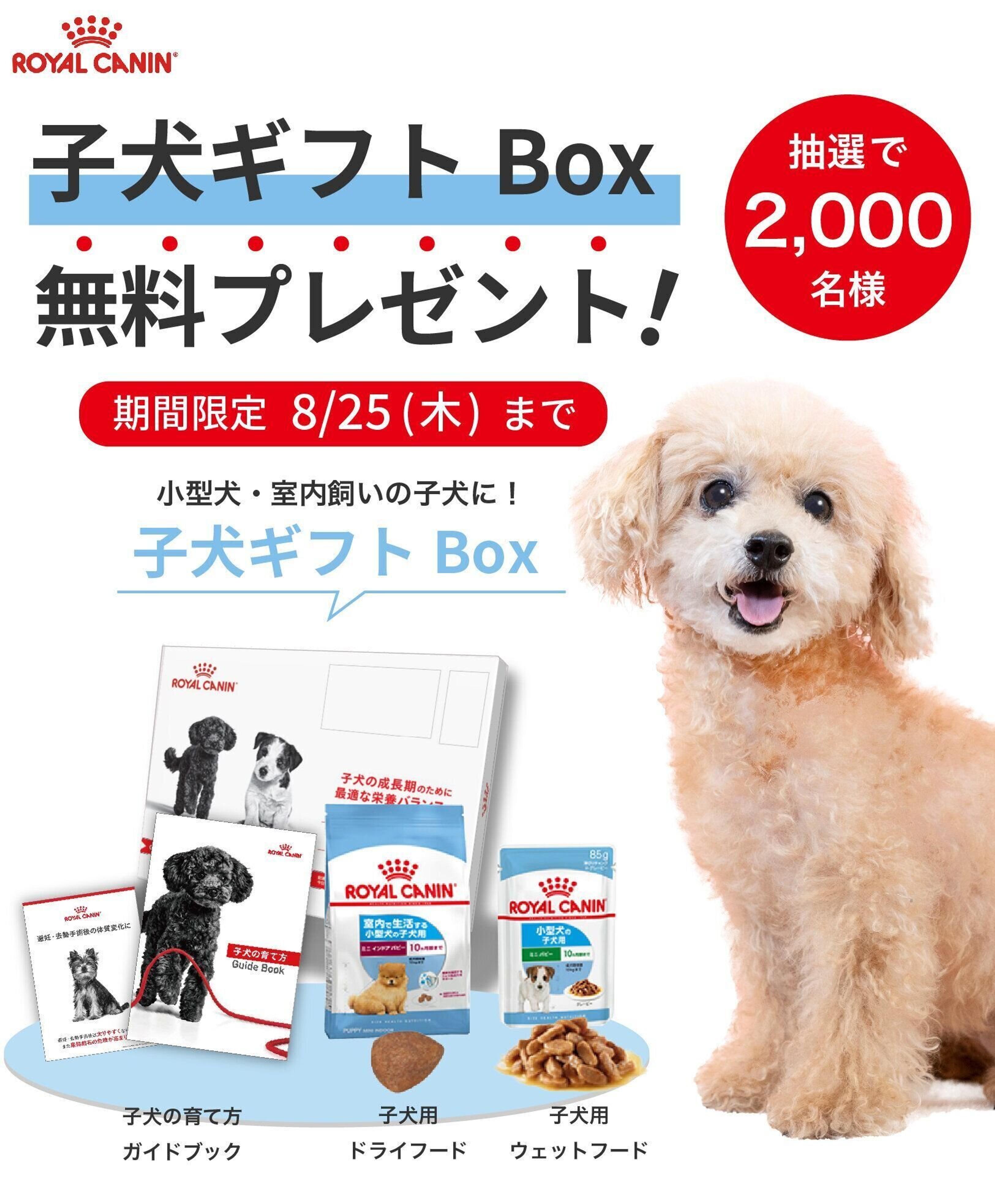 Pr 子犬用フードなど4点セットを無料で 抽選で2 000名様にプレゼント いぬのきもちweb Magazine Pr 子犬用フードなど4点セットを無料で 抽選で2 000名様にプレゼント いぬのきもちweb Magazine