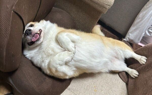 5才になった現在のLunaちゃん