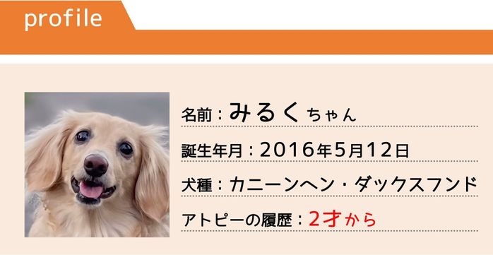 カニーンヘン・ダックスフンドのみるくちゃん