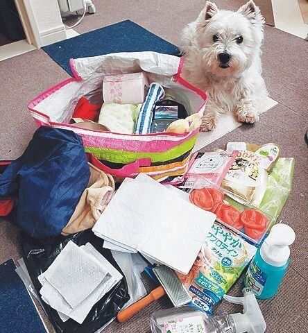 写真提供／Oさん