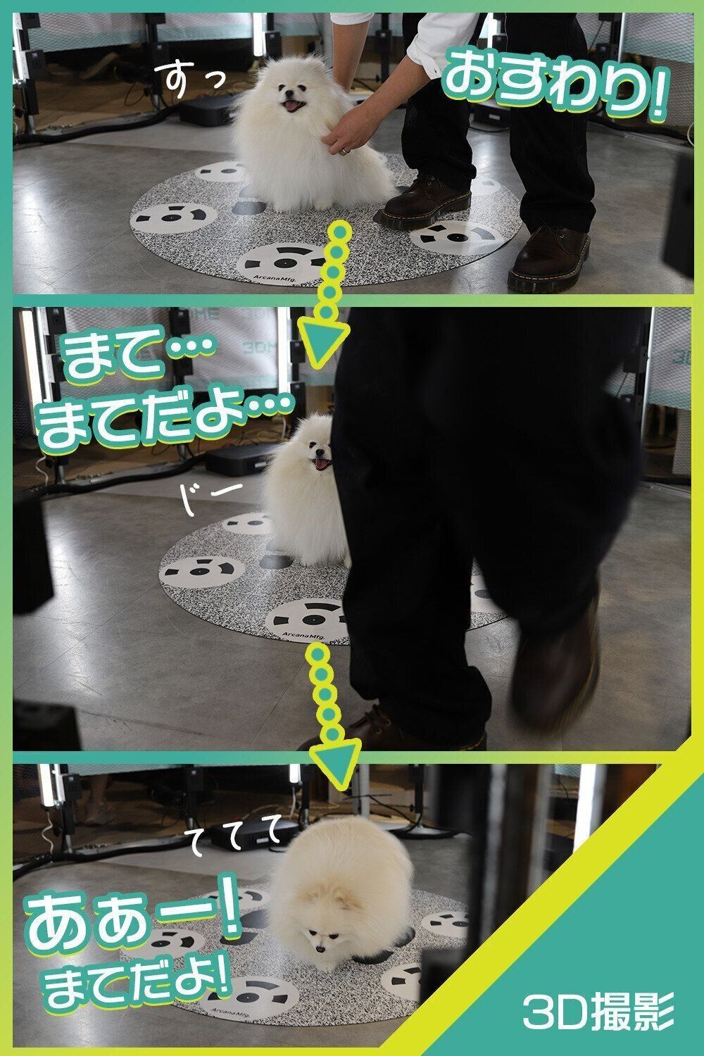 飼い主さんは360度カメラに映らないようにブース外に移動します