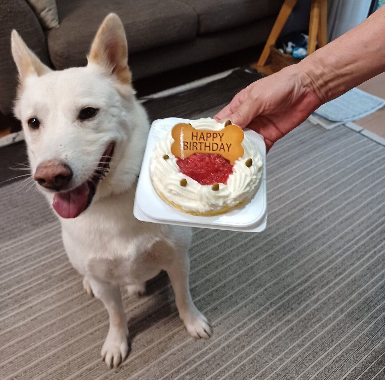 10才になった律くん。