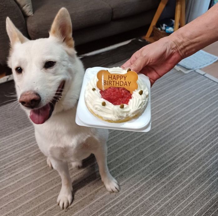 10才になった律くん。