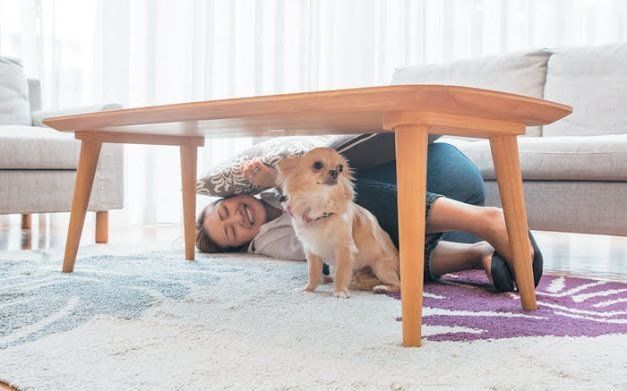 テーブル下に避難する犬