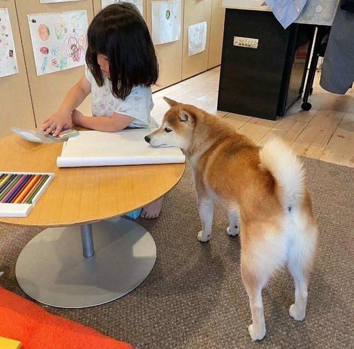 娘さんが何を描くのか見ているまるこちゃん