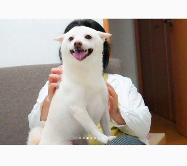 おばあちゃんが泊まりにきて大喜びするまめたちゃん