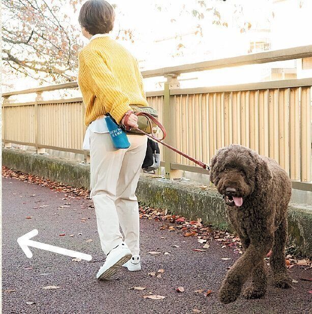 撮影／殿村忠博