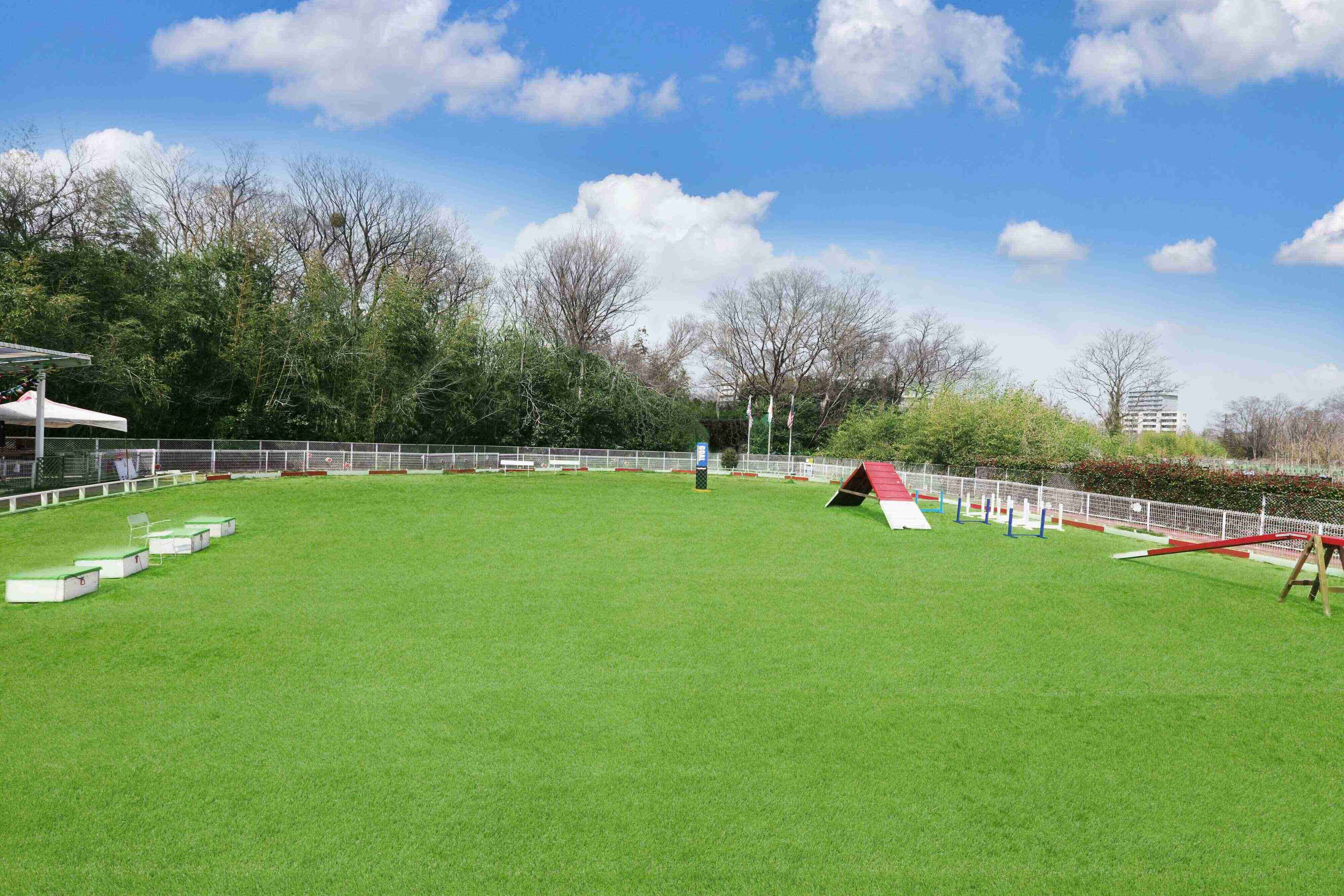 アジリティー設備のあるドッグラン