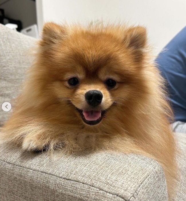 笑顔が可愛いまろくん